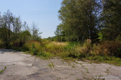 putnitz_24.jpg