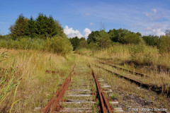 putnitz_25.jpg