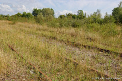 putnitz_27.jpg