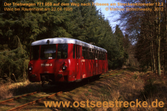 19950423_771-059-in-ravenhorst-wald_2