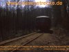 19950423_771-059-in-ravenhorst-wald_3