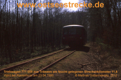 19950423_771-059-in-ravenhorst-wald_3