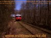 19950423_771-059-in-ravenhorst-wald_4