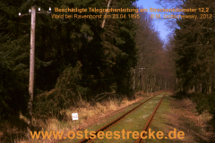 19950423_ravenhorst-wald