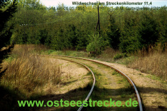 19950506_wildwechsel-bei-ravenhorst