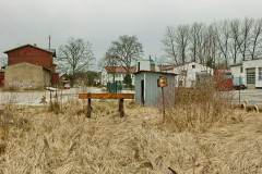rdgost1.jpg