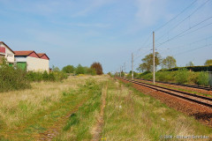 rdgost5.jpg