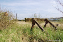 rdgost6.jpg