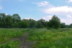Areal im Jahr 2006