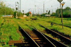 Ausfahrt Rostock Güterbahnhof nach Rostock Kassebohm