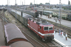 243-312-6 mit S-Bahn im Rostocker Hauptbahnhof