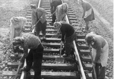 Bild 183-N0415-331