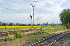 Bahnsteig 3 in Rövershagen - Bild 2