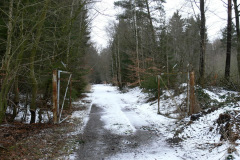 Tor zur Laderampe Schwarzenpfost