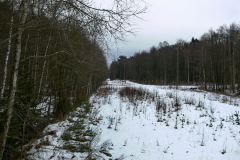 Laderampe und Verladeplatz Schwarzenpfost