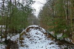 Ehemaliger Bahndamm Schwarzenpfost