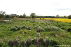 dsc0308v