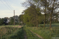 Zufahrt zum Haltepunkt Stormsdorf am 23.05.1995