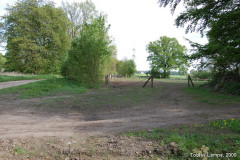 dsc0237q