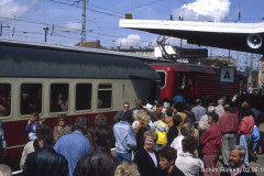 srd_elektr_4.jpg