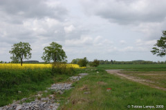 tribsees_landstr_1