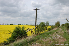 tribsees_landstr_4
