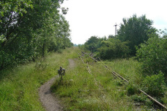 tribsees_2004_4