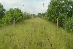 tribsees_2004_5