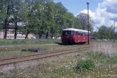 trib_alt_1-tribsees