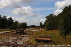 rueckbau_trib_2
