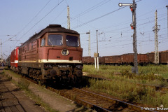 velgast_sommer90_1