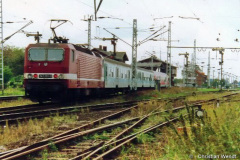 velgastalt2.jpg