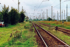 velgastalt7.jpg
