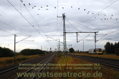 20121026_kranichzug-am-km192-dsc_1172