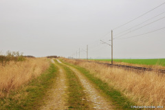 Zufahrt Laderampe Trinwillersahgen 1