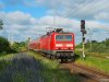 143 952 bei der Einfahrt in den Bahnhof Warnemünde Werft