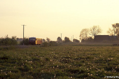 Pusteblumen am Haltepunkt Weitenhagen
