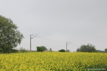 kussevitz_strecke_richtung_poppendorf_2