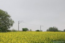 kussevitz_strecke_richtung_poppendorf_2