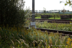abzw_poppendorf_2010_09_15_028