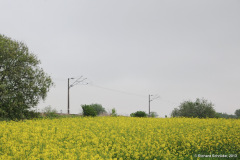 kussevitz_strecke_richtung_poppendorf_2