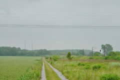 poppendorf_wbhf_esig